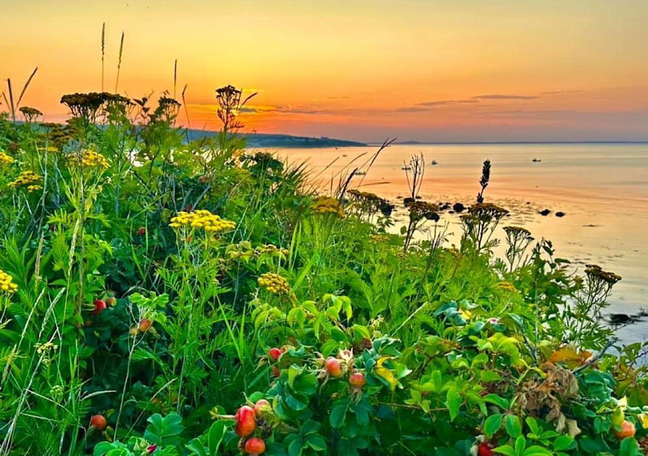 Wildflower Inn بليموث المظهر الخارجي الصورة
